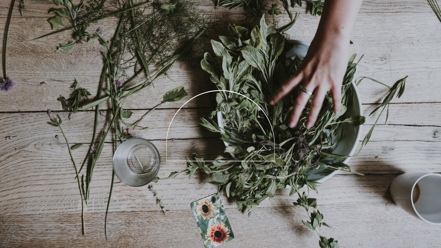 Plants and Seasonal Allergies: What Benefits Can You Expect, and What Role Does Black Seed Play?