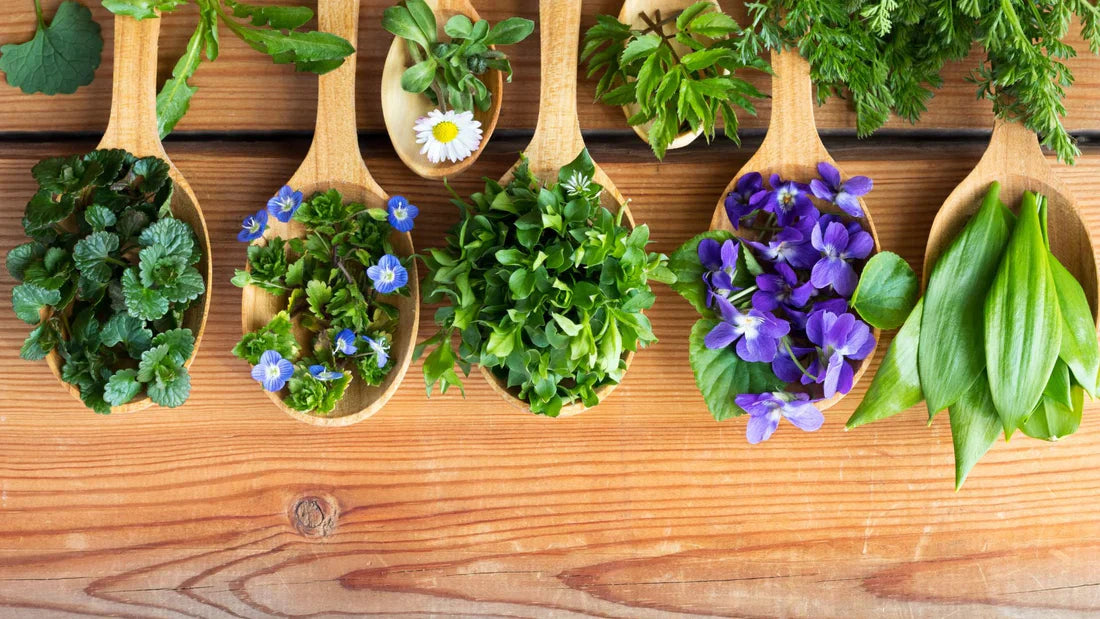 Why Are Plant Origin and Extraction Method Important?